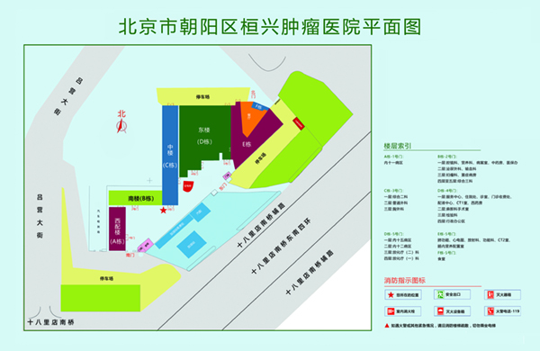 操逼啊啊啊啊啊啊网站污北京市朝阳区桓兴肿瘤医院平面图